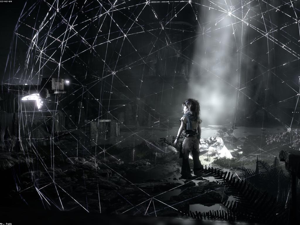 ព័ត៏មានពីហ្គេម: ការពិគ្រោះនិងការអភិវឌ្ឍន៍