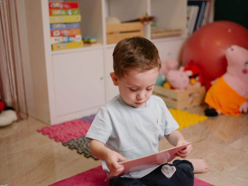 តួនាទីនៃជំនាញលេងក្នុងការសិក្សា